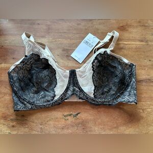 Elegant Black Lace Bra